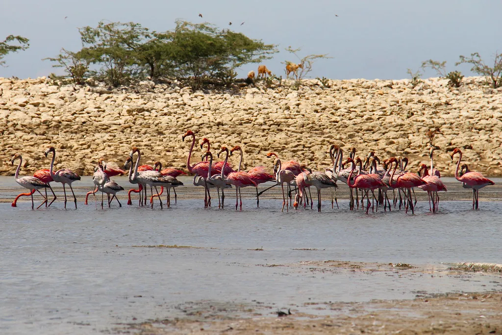 La Guajira